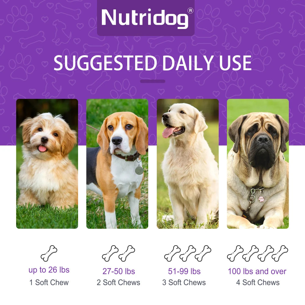 Dog Turmeric Chews Anti-Inflammatory Joint Care Contains Glucosamine
