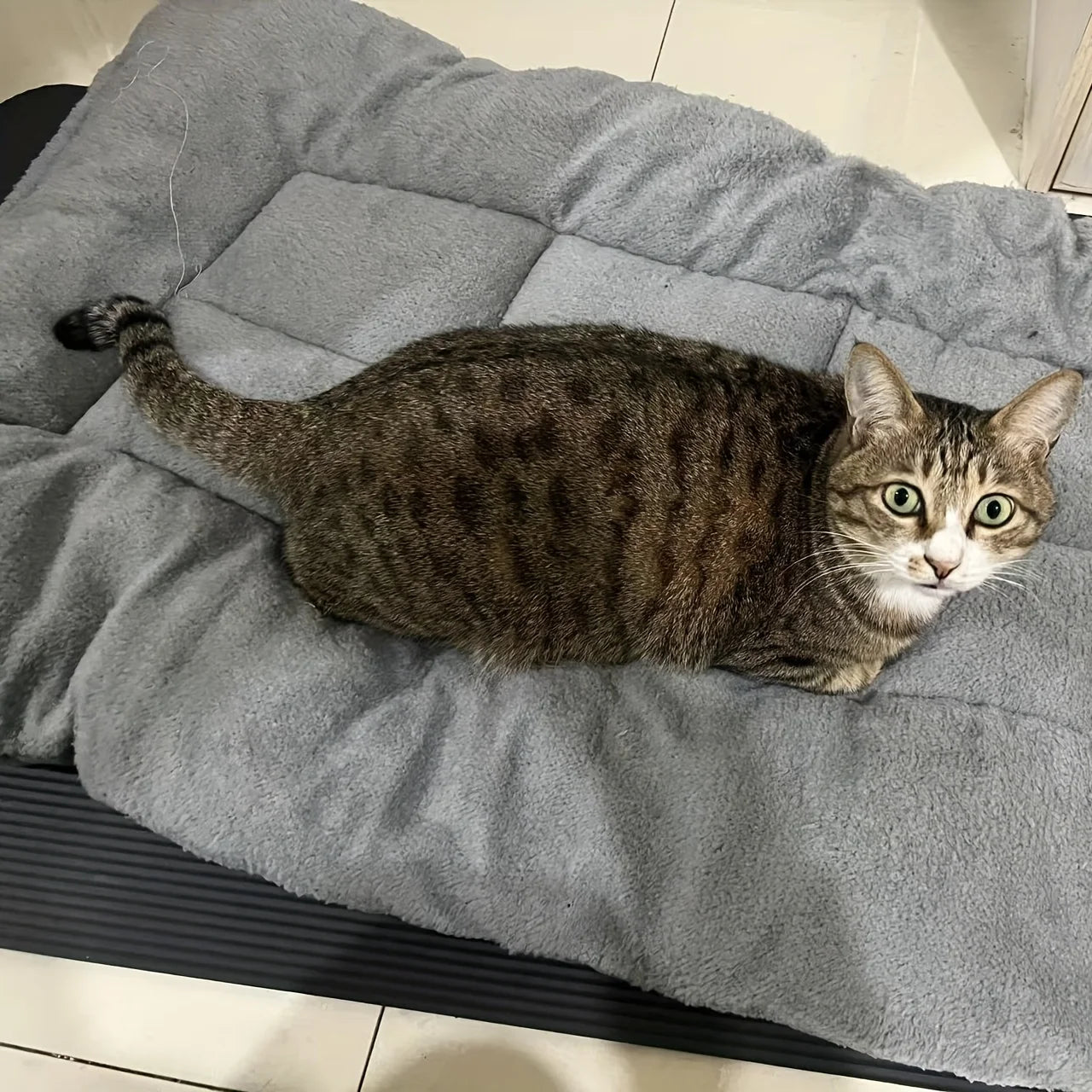 Oversized Plush Dog Cat Bed Sofa