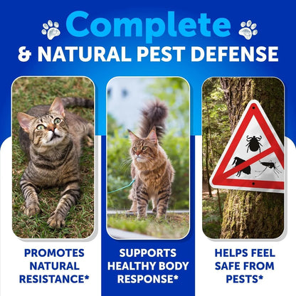 Cat Flea &Tick Control Chews Coat, Health Support