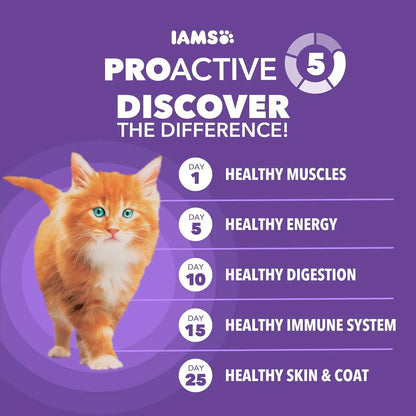 Healthy Kitten Dry Cat Food with Real Chicken