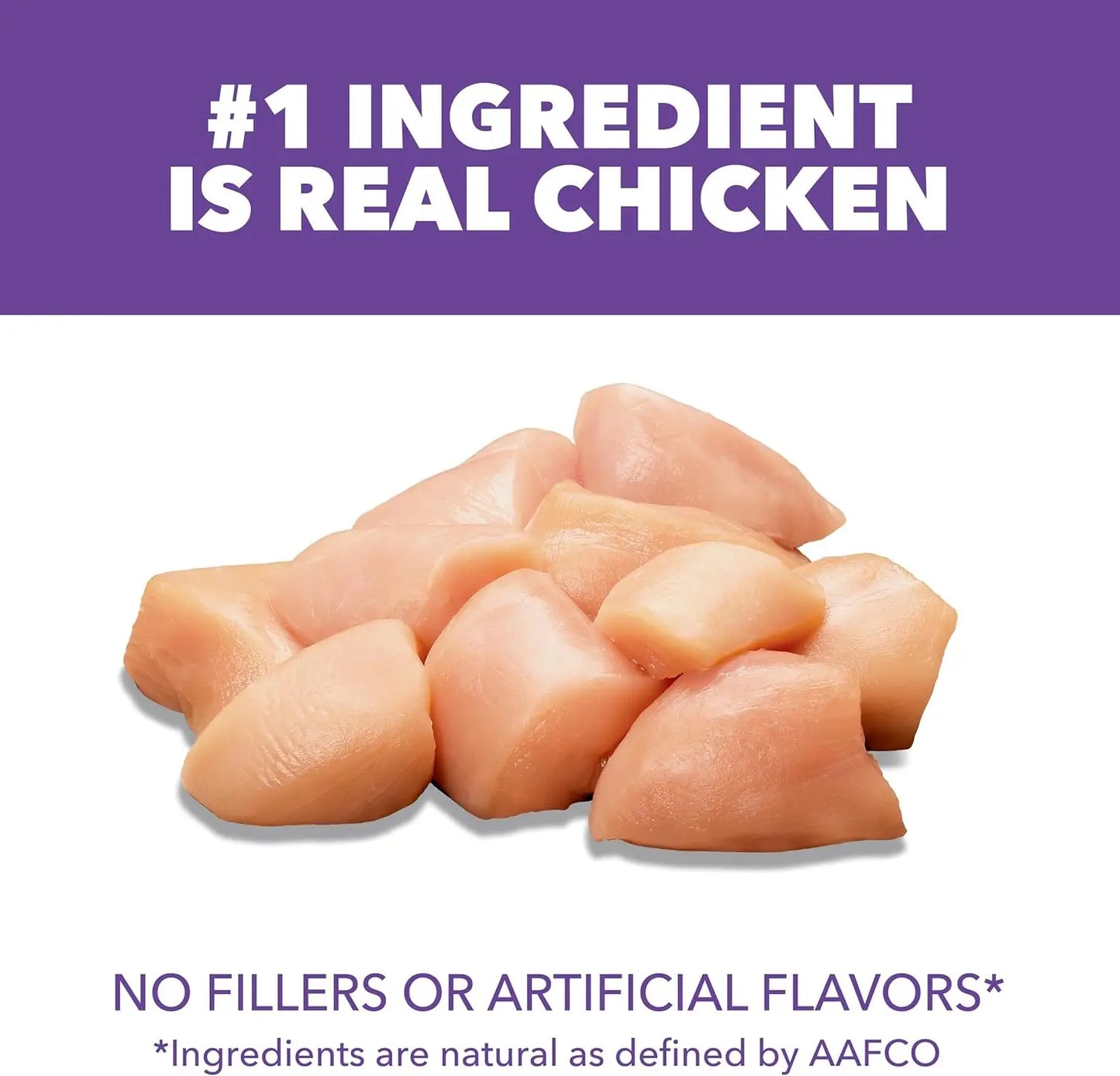 Healthy Kitten Dry Cat Food with Real Chicken