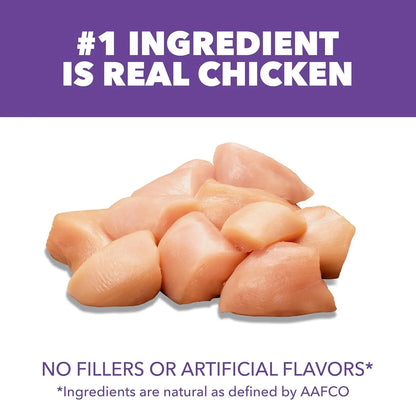 Healthy Kitten Dry Cat Food with Real Chicken