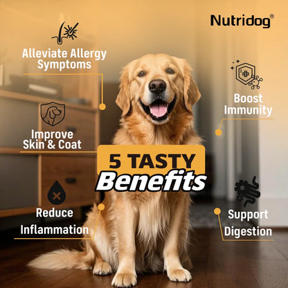 Dog Allergy Itch Relief Chews Omega-3 Vitamin C Support