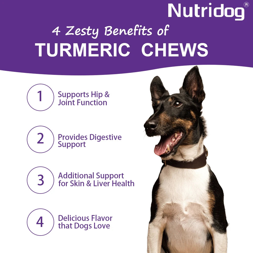Dog Turmeric Chews Anti-Inflammatory Joint Care Contains Glucosamine