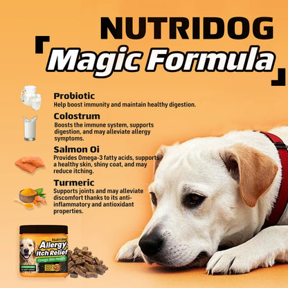 Dog Allergy Itch Relief Chews Omega-3 Vitamin C Support